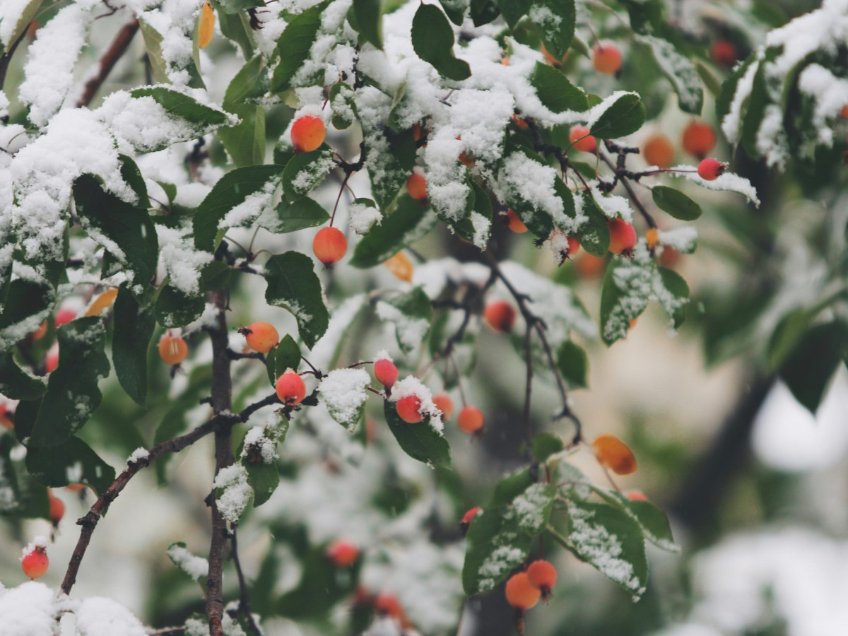 December Referral Promo 20% Off&nbsp;Treatments